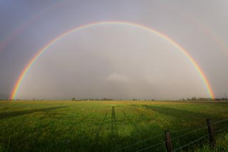 rainbow field 
